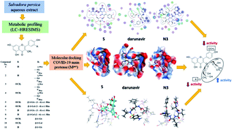 Molecular Docking Reveals The Potential Of Salvadora Persica Flavonoids To Inhibit Covid 19 Virus Main Protease Rsc Advances Rsc Publishing