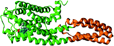 In silico decryption of serotonin–receptor binding: local non-covalent ...