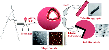 mpeg thermodynamically amphiphiles tailed biodegradable sulfonate vesicle