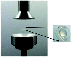 Analysis of the effects of acoustic levitation to simulate the