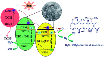 Transformation Of Novel Tiof2 Nanoparticles To Cluster Tio2 001 101 And Its Degradation Of Tetracycline Hydrochloride Under Simulated Sunlight Rsc Advances Rsc Publishing