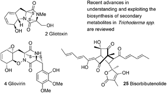 Molecular Methods Unravel The Biosynthetic Potential Of Trichoderma Species Rsc Advances Rsc Publishing