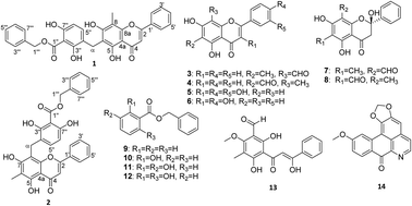 Desmoschinensisflavones A And B Two Rare Flavones Having A Hybrid Benzyl Benzoate Ester Flavone Structural Framework From Desmos Chinensis Lour Rsc Advances Rsc Publishing