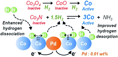 Improved H2 utilization by Pd doping in cobalt catalysts for reductive ...