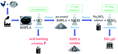 Simultaneous Amorphous Silica And Phosphorus Recovery From Rice Husk Poultry Litter Ash Rsc Advances Rsc Publishing