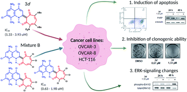 Design Synthesis And Biological Evaluation Of 2 Quinolyl 1 3 Tropolone Derivatives As New Anti Cancer Agents Rsc Advances Rsc Publishing