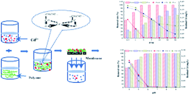 Study On The Treatment Of Sudden Cadmium Pollution In Surface Water By A Polymer Enhanced Ultrafiltration Process Rsc Advances Rsc Publishing