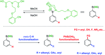 Meta Selective C H Functionalisation Of Aryl Boronic Acids Directed By A Mida Derived Boronate Ester Chemical Science Rsc Publishing