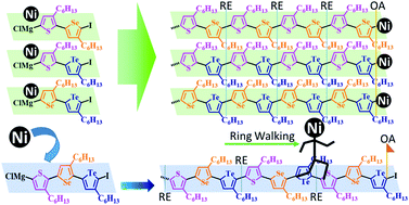 Synthesis of side-chain regioregular and main-chain alternating poly ...
