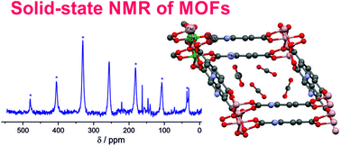 Solid-state NMR spectroscopy: an advancing tool to analyse the 