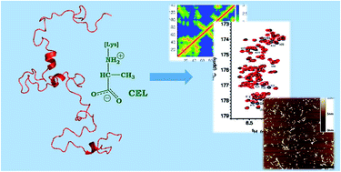 Unravelling The Effect Of N E Carboxyethyl Lysine On The Conformation Dynamics And Aggregation Propensity Of A Synuclein Chemical Science Rsc Publishing