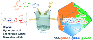 Modulation Of Metal Azolate Frameworks For The Tunable Release Of Encapsulated Glycosaminoglycans Chemical Science Rsc Publishing