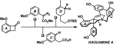 Late-stage and strain-accelerated oxidation enabled synthesis of