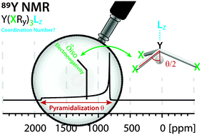 Electronegativity And Location Of Anionic Ligands Drive Yttrium Nmr For Molecular Surface And Solid State Structures Chemical Science Rsc Publishing anionic ligands drive yttrium nmr