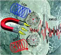 Hard X Ray Magnetochiral Dichroism In A Paramagnetic Molecular 4f Complex Chemical Science Rsc Publishing