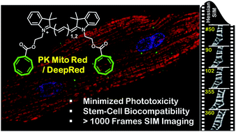 その他 RsC Copper-catalyzed in situ oxidative-coupling for one-pot