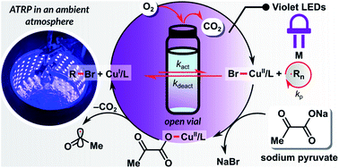 Fully Oxygen Tolerant Atom Transfer Radical Polymerization Triggered By Sodium Pyruvate Chemical Science Rsc Publishing