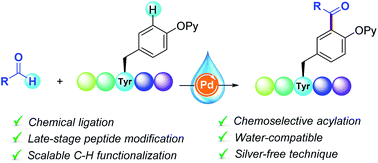 Site Selective Aqueous C H Acylation Of Tyrosine Containing Oligopeptides With Aldehydes Chemical Science Rsc Publishing