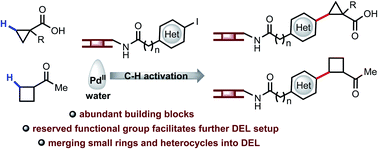 Merging C Sp3 H Activation With Dna Encoding Chemical Science Rsc Publishing