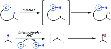 C–H functionalization reactions enabled by hydrogen atom transfer