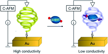 Sensing A Binding Event Through Charge Transport Variations Using An Aromatic Oligoamide Capsule Chemical Science Rsc Publishing