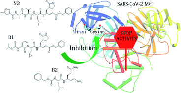 Mechanism Of Inhibition Of Sars Cov 2 Mpro By N3 Peptidyl Michael Acceptor Explained By Qm Mm Simulations And Design Of New Derivatives With Tunable Chemical Reactivity Chemical Science Rsc Publishing