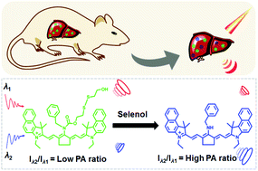 Design And Synthesis Of A Ratiometric Photoacoustic Imaging Probe Activated By Selenol For Visual Monitoring Of Pathological Progression Of Autoimmune Hepatitis Chemical Science Rsc Publishing