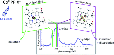 The Electronic Structure And Deexcitation Pathways Of An Isolated Metalloporphyrin Ion Resolved By Metal L Edge Spectroscopy Chemical Science Rsc Publishing