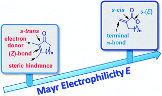 Electrophilic Reactivities Of Cyclic Enones And A B Unsaturated Lactones Chemical Science Rsc Publishing