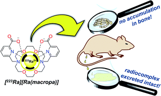 Towards The Stable Chelation Of Radium For Biomedical Applications With An 18 Membered Macrocyclic Ligand Chemical Science Rsc Publishing