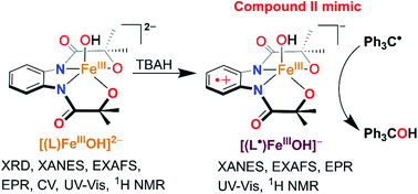 Characterization And Reactivity Study Of Non Heme High Valent Iron Hydroxo Complexes Chemical Science Rsc Publishing
