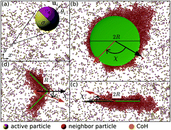 Different Shaped Micro Objects Driven By Active Particle Aggregations Soft Matter Rsc Publishing