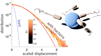 Colloidal Transport In Bacteria Suspensions From Bacteria Collision To Anomalous And Enhanced Diffusion Soft Matter Rsc Publishing