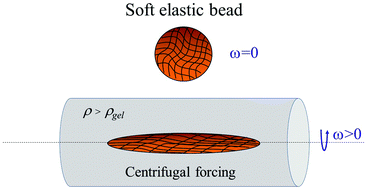 Spinning elastic beads: a route for simultaneous measurements of
