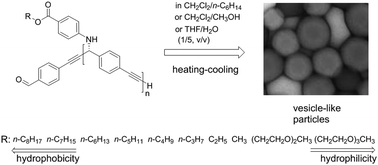 Self Assembly Of Chiral Oligo Methylene P Phenylene Ethynylene S Into Vesicle Like Particles Independent Of Hydrophobicity Hydrophilicity Of Side Chains And Solvents Soft Matter Rsc Publishing