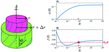 Non Equilibrium Growth And Twist Of Cross Linked Collagen Fibrils Soft Matter Rsc Publishing