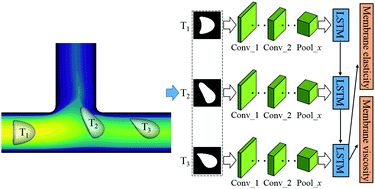 A Neural Network Based Algorithm For High Throughput Characterisation Of Viscoelastic Properties Of Flowing Microcapsules Soft Matter Rsc Publishing