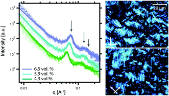 Enhanced Ordering In Length Polydisperse Carbon Nanotube Solutions At High Concentrations As Revealed By Small Angle X Ray Scattering Soft Matter Rsc Publishing