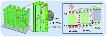 An Effective Strategy Of Constructing A Multi Junction Structure By Integrating A Heterojunction And A Homojunction To Promote The Charge Separation And Transfer Efficiency Of Wo3 Journal Of Materials Chemistry A Rsc