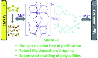 The Key Role of Magnesium Polysulfides in the Development of Mg-S Batteries