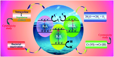 A Facile Reflux Method For In Situ Fabrication Of A Non Cytotoxic Bi2s3 B Bi2o3 Znin2s4 Ternary Photocatalyst A Novel Dual Z Scheme System With Enhanced Multifunctional Photocatalytic Activity Journal Of Materials Chemistry A Rsc Publishing