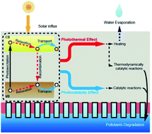 Harnessing synchronous photothermal and photocatalytic effects of