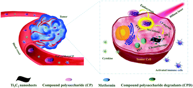 Surface modification engineering of two-dimensional titanium carbide ...