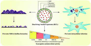 Combinatorial Liposomes Of Berberine And Curcumin Inhibit Biofilm Formation And Intracellular Methicillin Resistant Staphylococcus Aureus Infections And Associated Inflammation Journal Of Materials Chemistry B Rsc Publishing