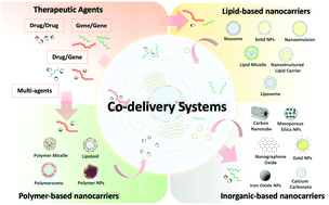 Recent advances in co-delivery nanosystems for synergistic action in ...