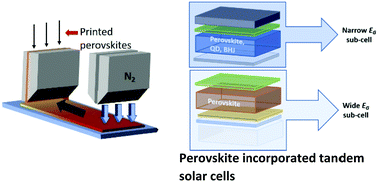 Solution processed perovskite incorporated tandem photovoltaics ...