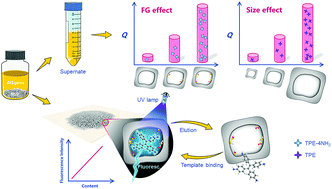 Recognition mechanism of molecularly imprinted polymers by  aggregation-induced emission - Journal of Materials Chemistry C (RSC  Publishing)