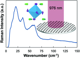 Probing lattice vibrations of stabilized CsPbI3 polymorphs via low ...