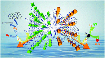 The Application Of Ni And Cu Mofs As Highly Efficient Catalysts For Visible Light Driven Tetracycline Degradation And Hydrogen Production Journal Of Materials Chemistry C Rsc Publishing