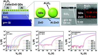 Improving The Photodetection And Stability Of A Visible Light Qds Zno Phototransistor Via An Al2o3 Additional Layer Journal Of Materials Chemistry C Rsc Publishing